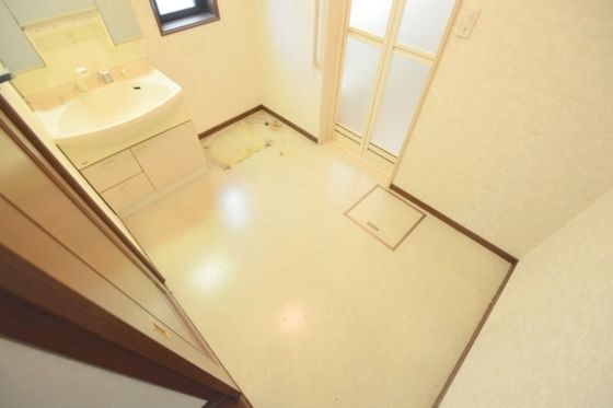 �y���ʏ��z�@��������L�X���ʒE�ߏ�