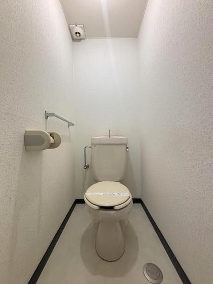 �y�g�C���z�@