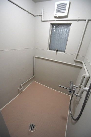 �y�o�X�z�@�V�����[���[��