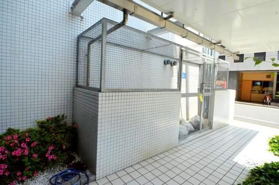 �~�n����p�S�~�̂ď�